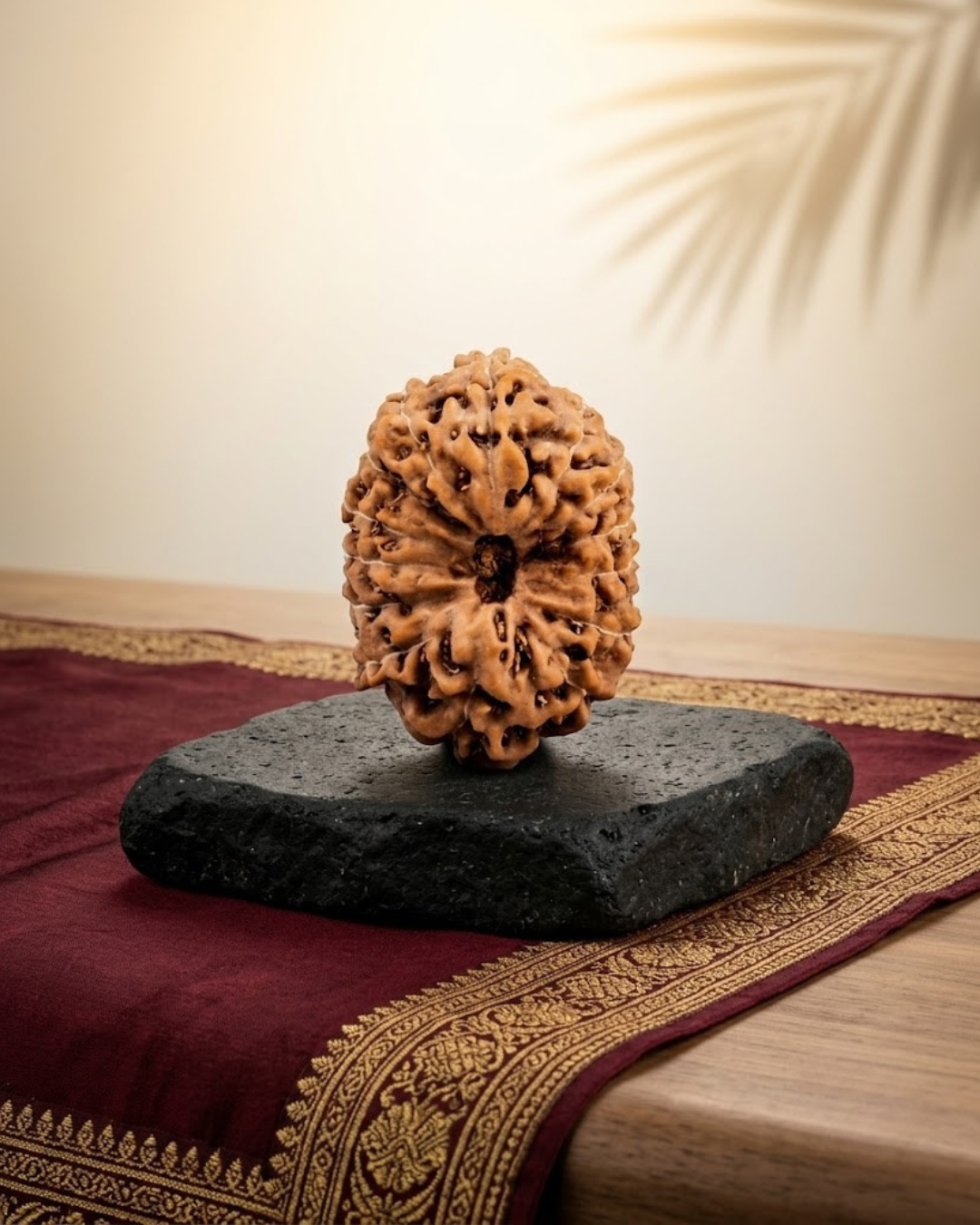14 Mukhi Rudraksha Java Indonesian 15mm Small Certified