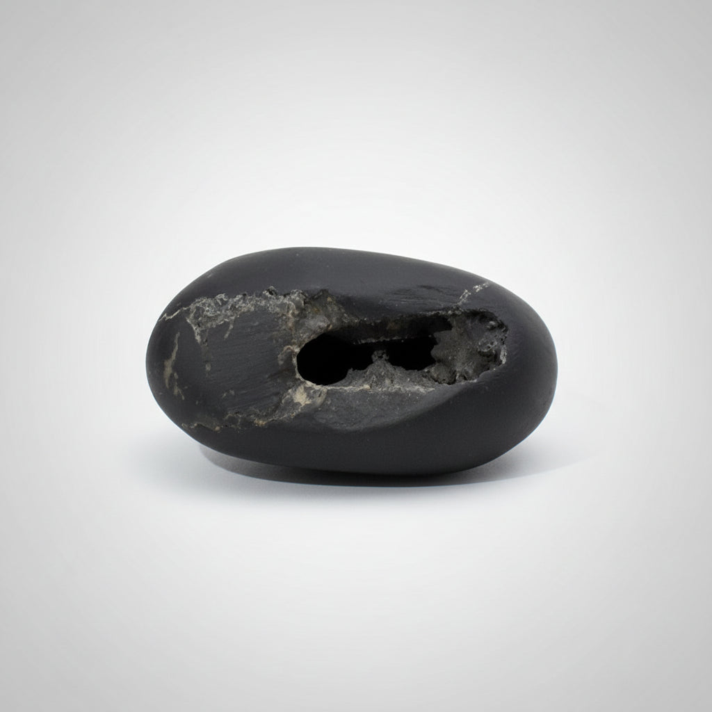 Laxmi Narsimha Chakradhari Shaligram Shila