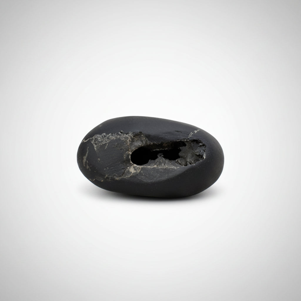 Laxmi Narsimha Chakradhari Shaligram Shila