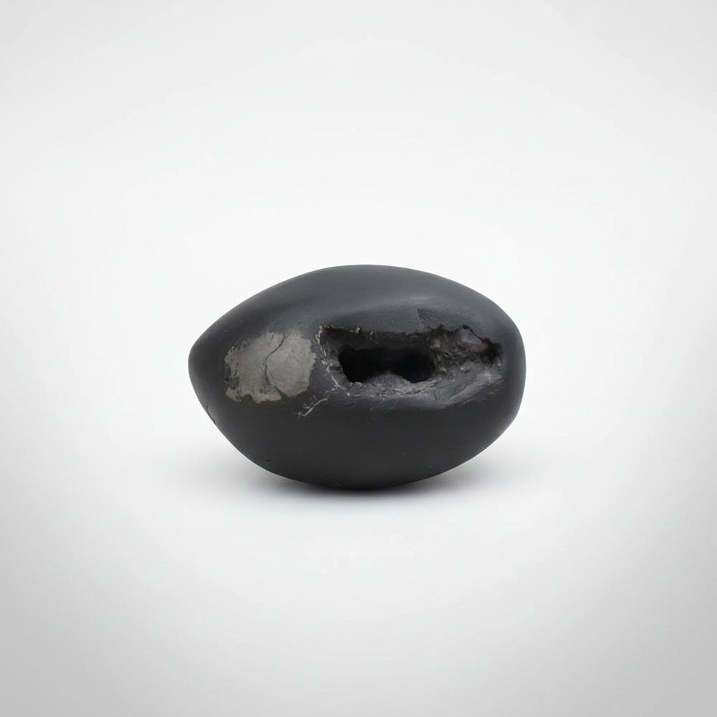 Swarna Vishnu Chakra Shaligram Shila
