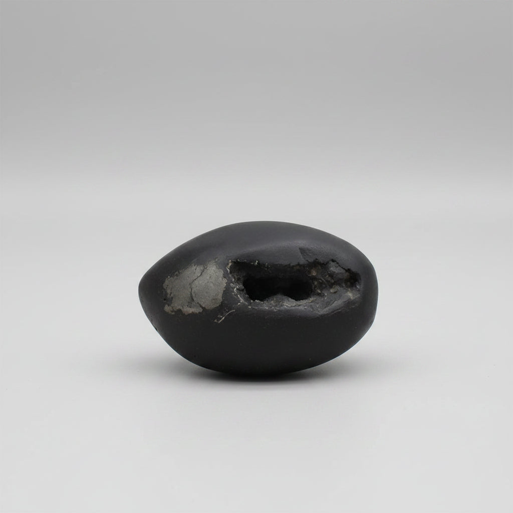 Swarna Vishnu Chakra Shaligram Shila