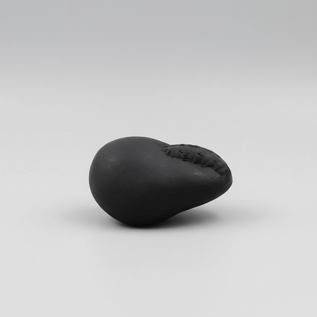 Ganesh Shaligram Shila - VI