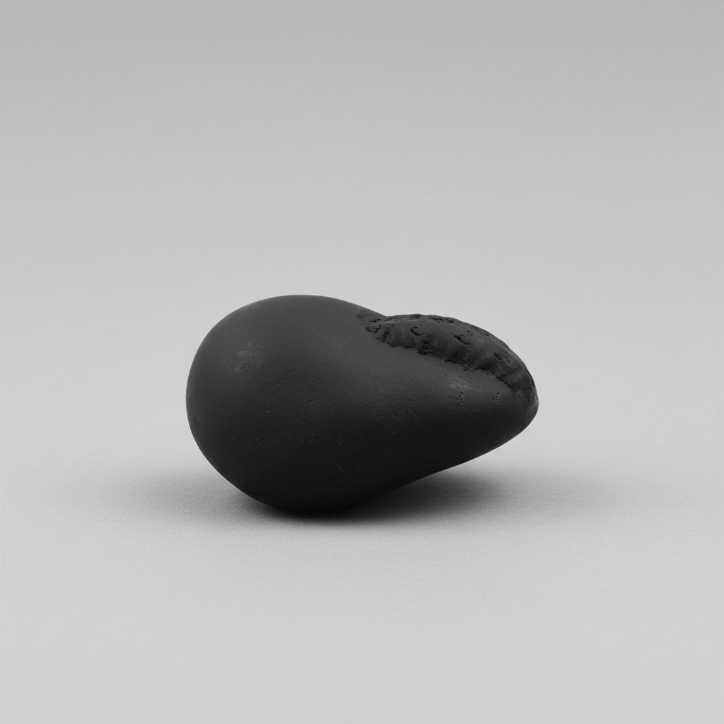 Ganesh Shaligram Shila - VI