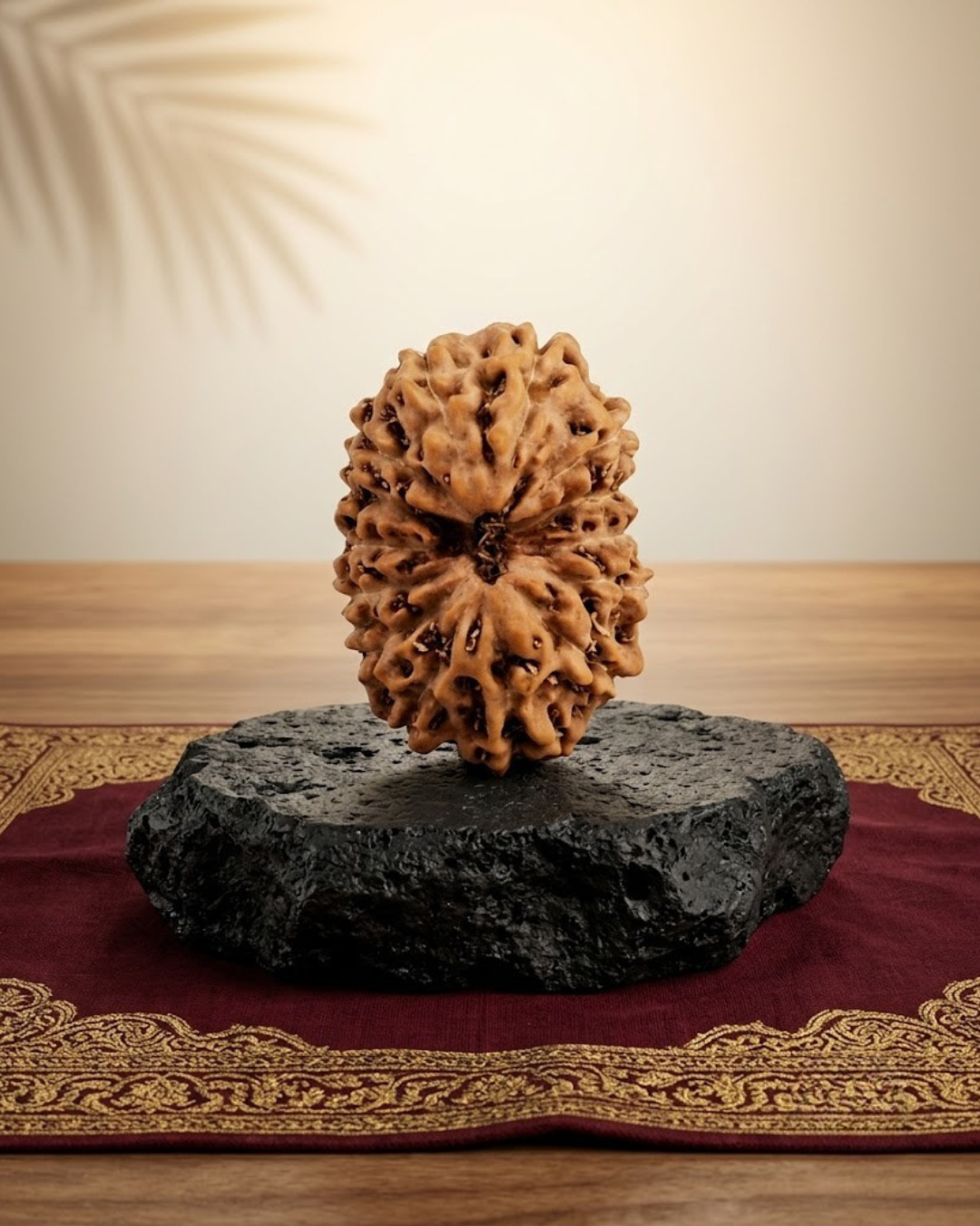 14 Mukhi Rudraksha Java Indonesian 15mm Small | Certified