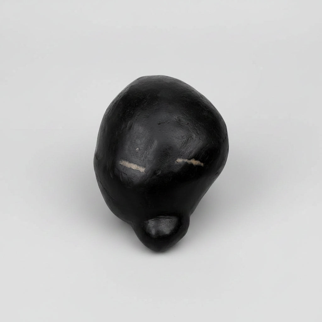 Maha Kurma Shaligram Shila