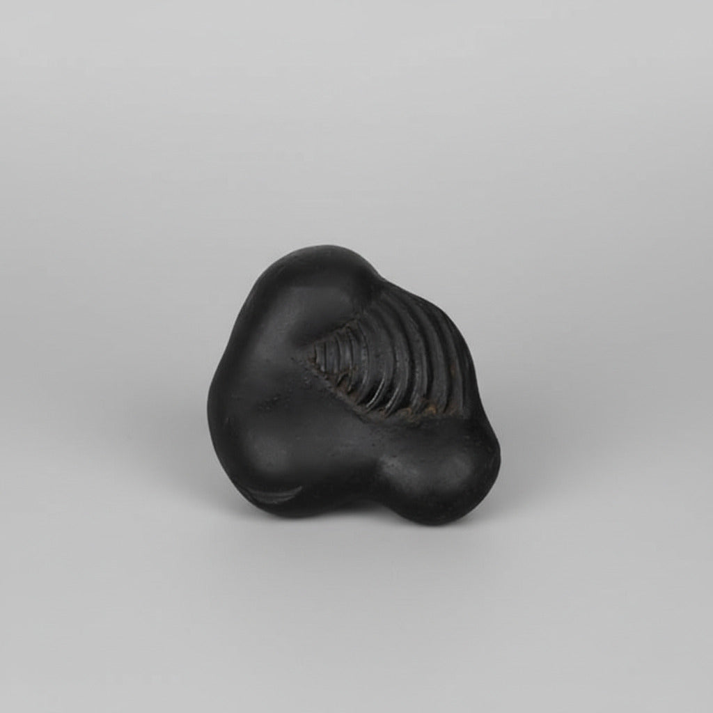 Buddha Laxmi Shaligram Shila - I