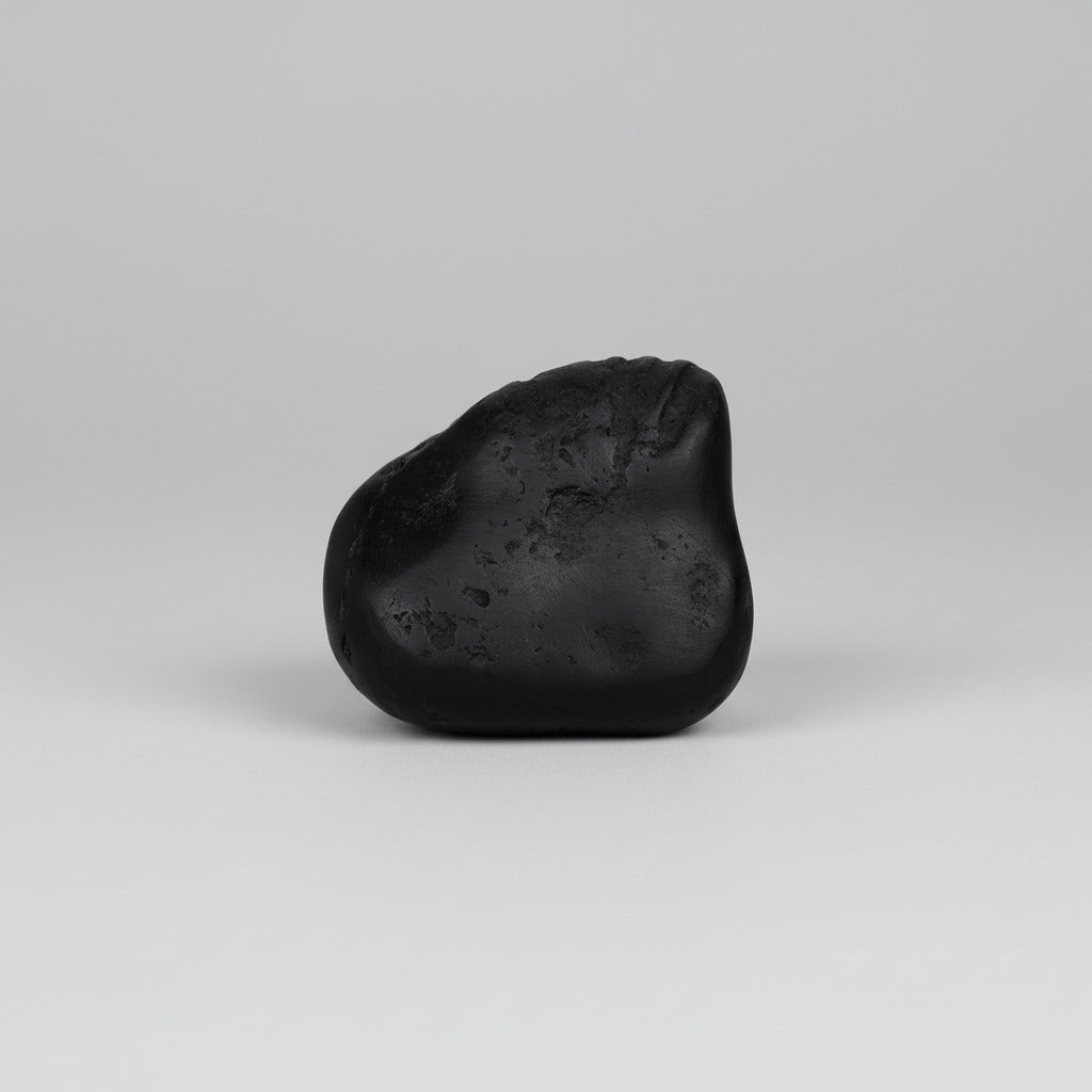 Kalki Avatar Shaligram Shila - I