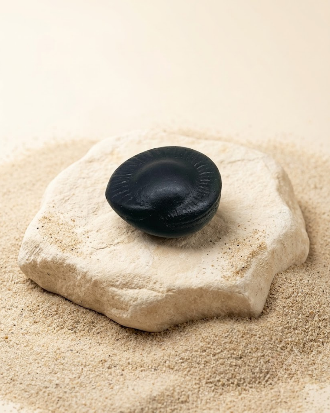 Kuber Surya Shaligram Shila - Authentic Vishnu Stone - ManiMonk