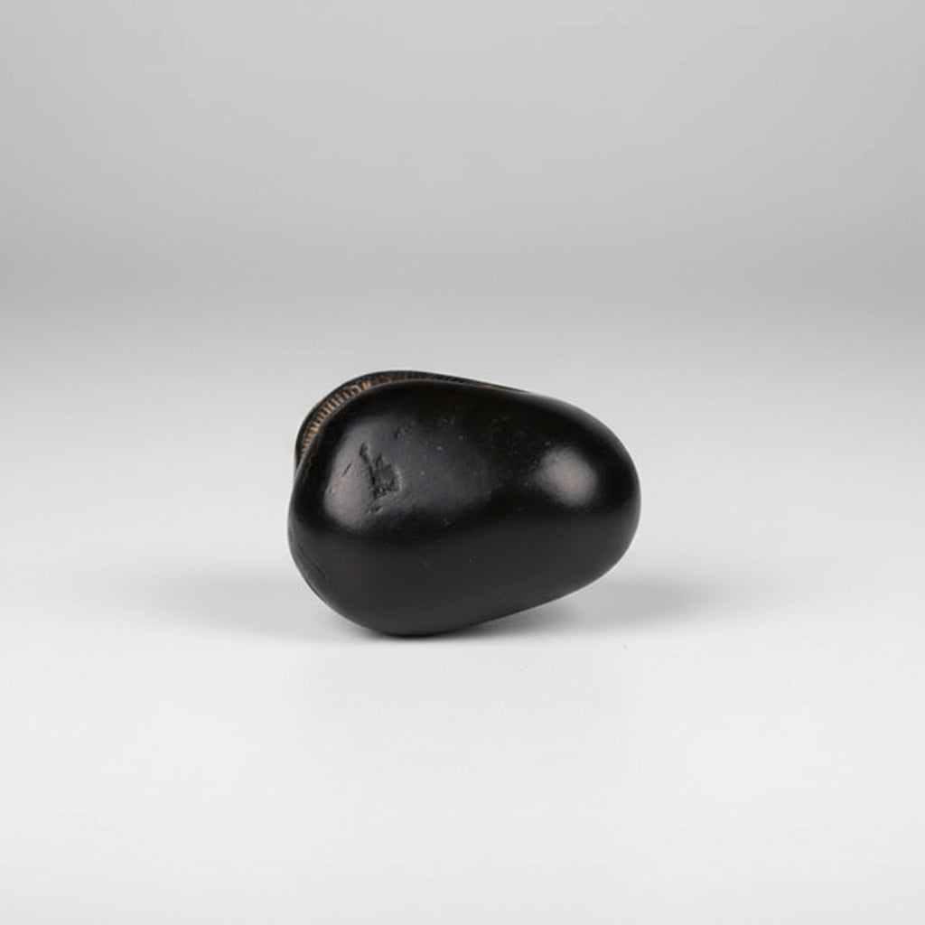 Ugra Narsimha Laxmi Shaligram Shila - 143 gms