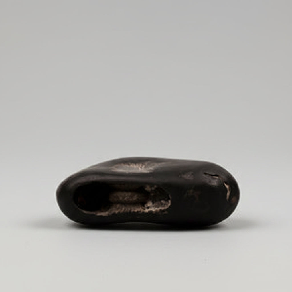 Mahakali Shaligram Shila - 208 gms