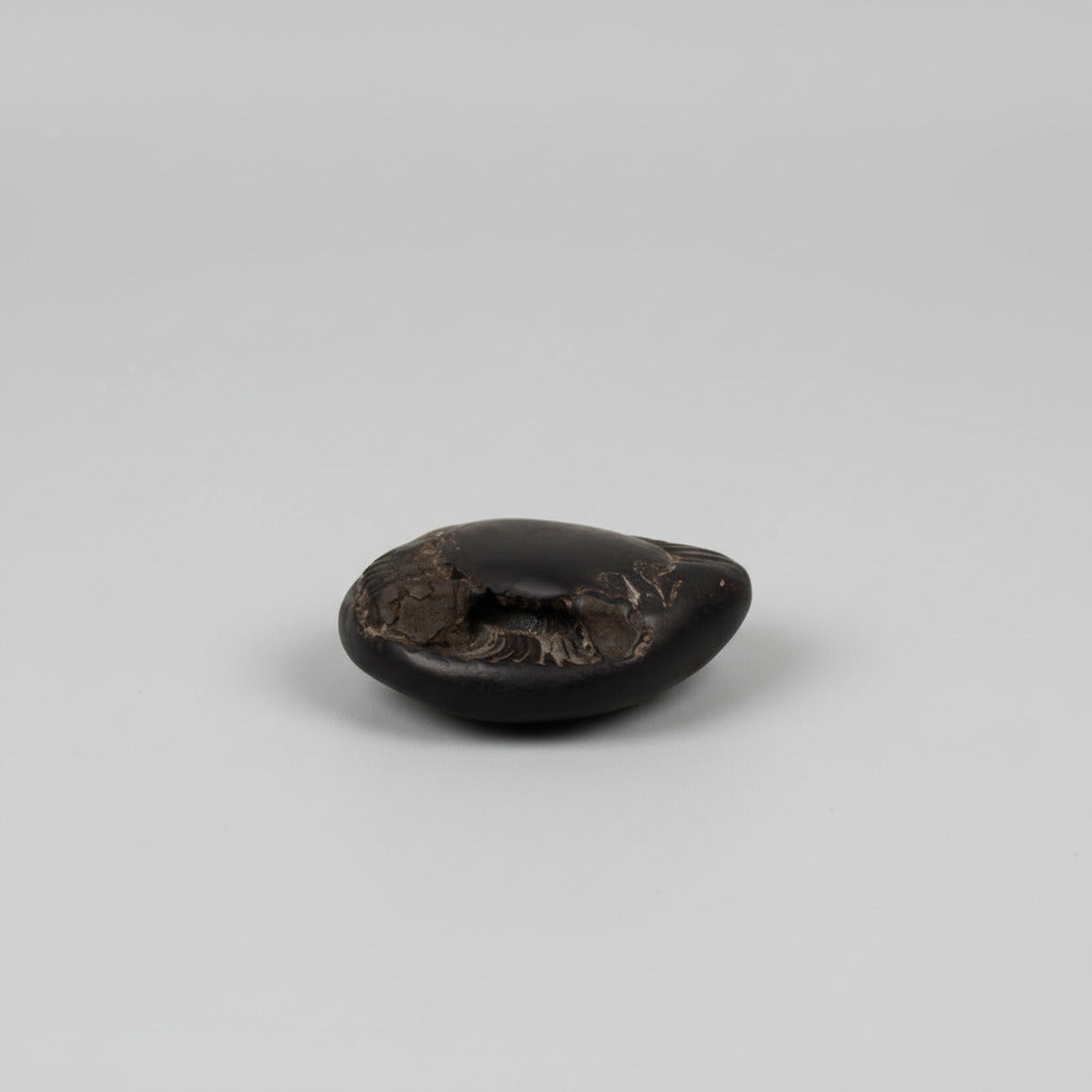 Chakradhari Vishnu Laxmi Shaligram Shila - 152 gms