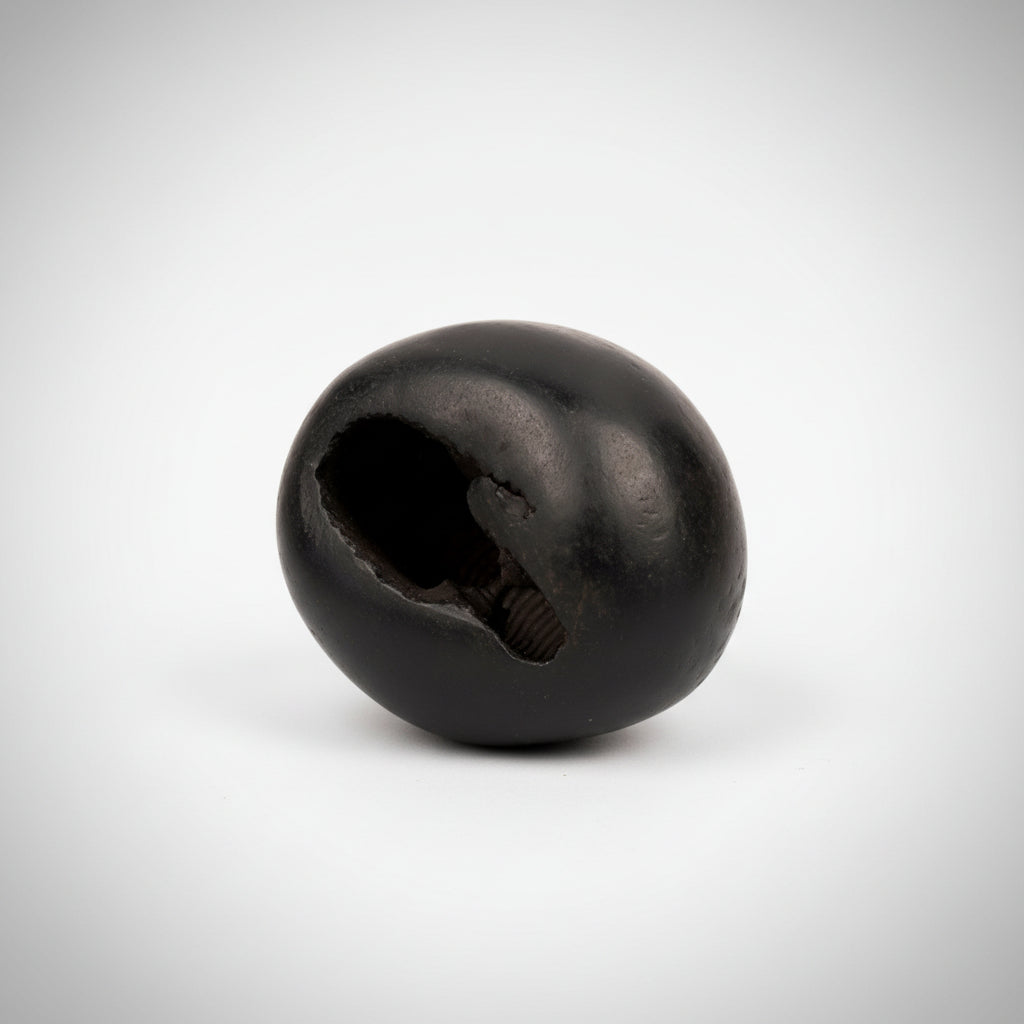 Laxmi Narsimha Shaligram Shila - 87 gms