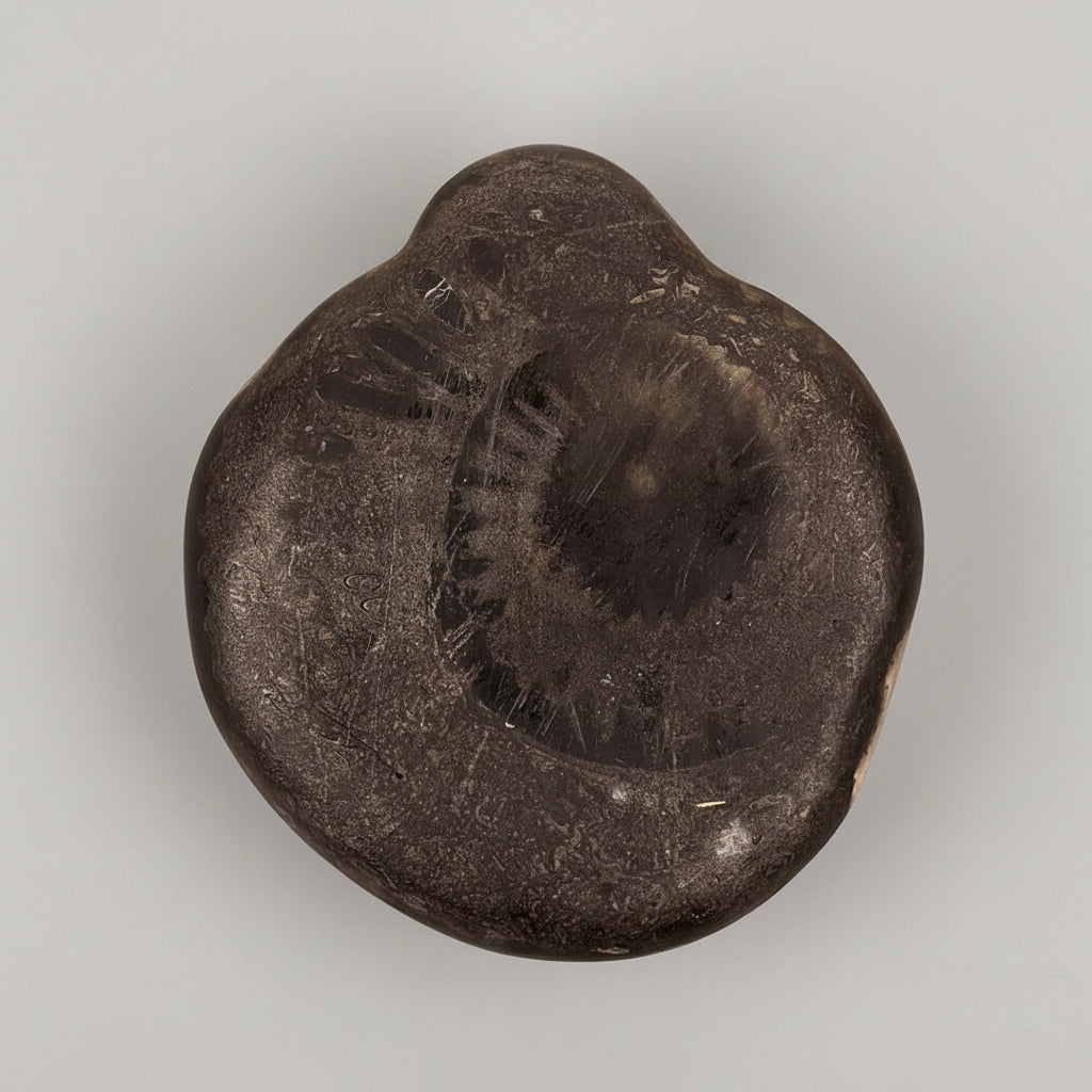 Kurma Mahavatar Shaligram Shila - 126 gms