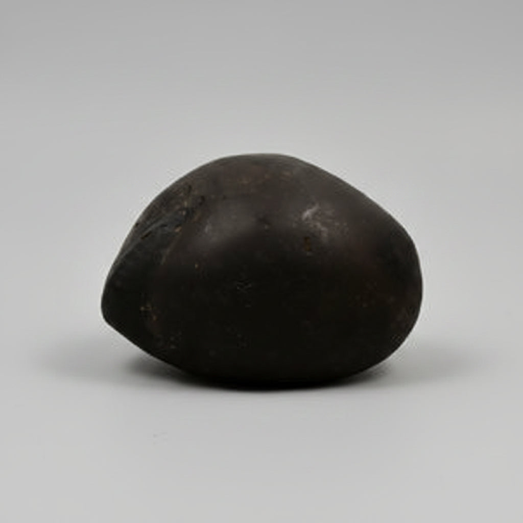Kuber Shaligram Shila - 148 gms
