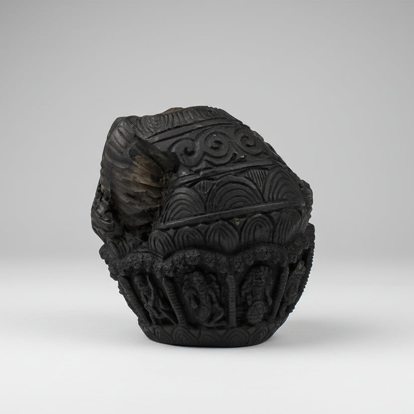 Dashavatar on Laxmi Narayan Shaligram Murti