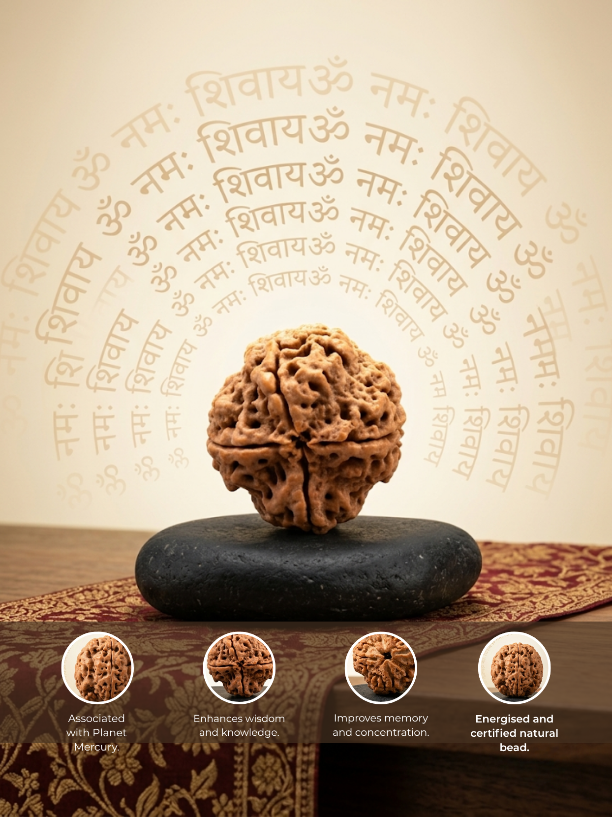 4 Mukhi Rudraksha from Nepal - Collector 25 mm - Natural Certified Bead for Brihaspati and Intellect
