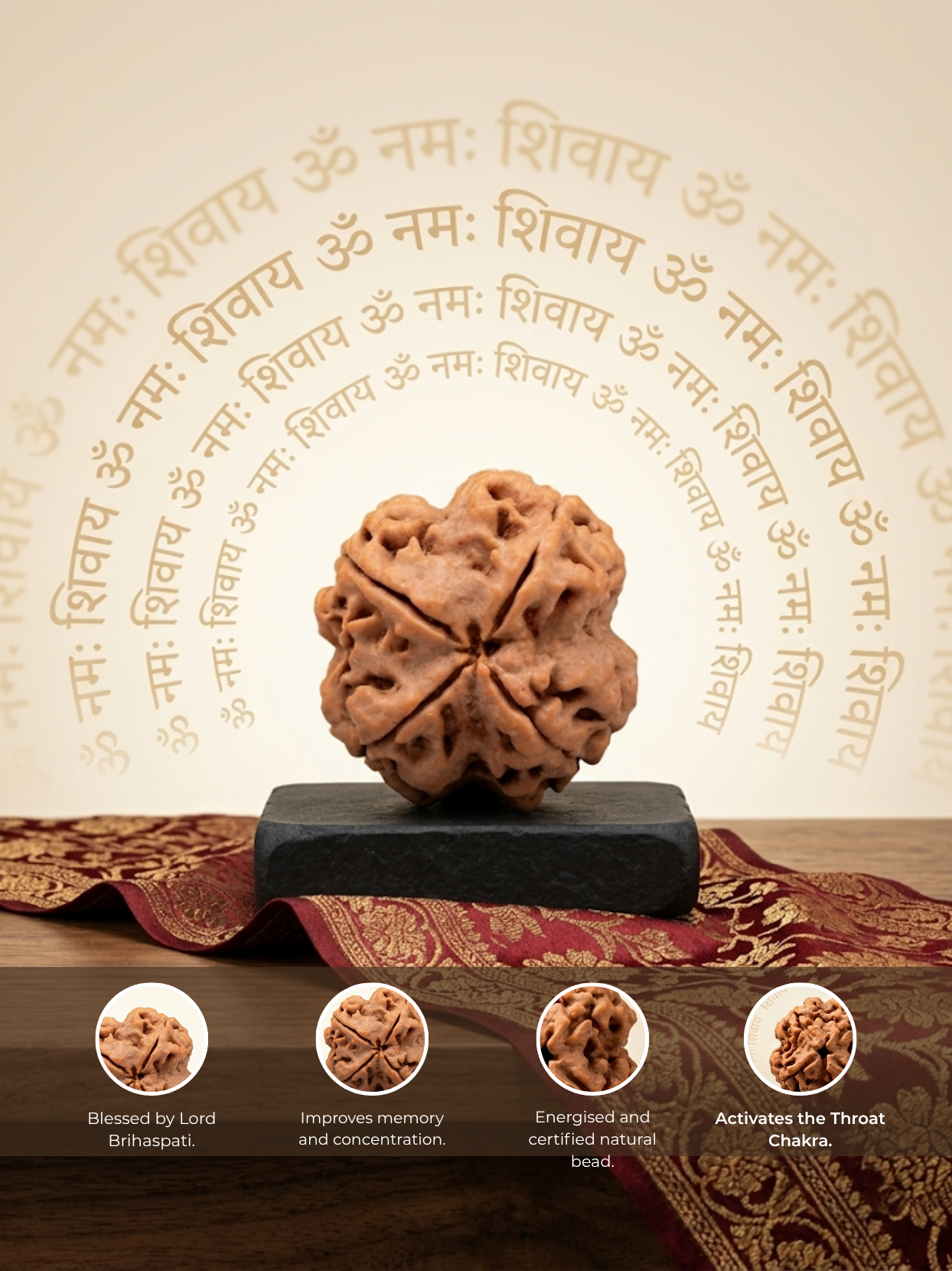 4 Mukhi Rudraksha from Nepal - Small - Natural Certified Bead for Brihaspati and Intellect