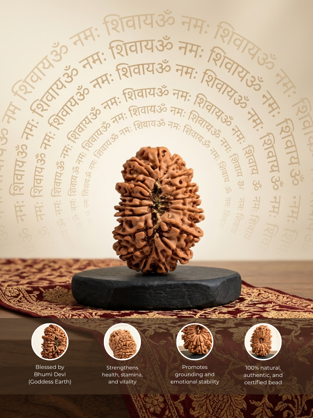 18 Mukhi Rudraksha from Nepal | 30 mm | Certified