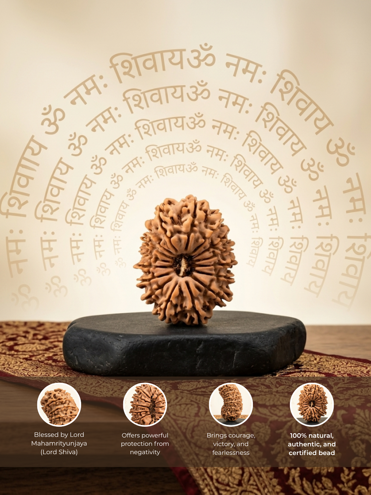 16 Mukhi Rudraksha from Nepal | 28 mm | Certified
