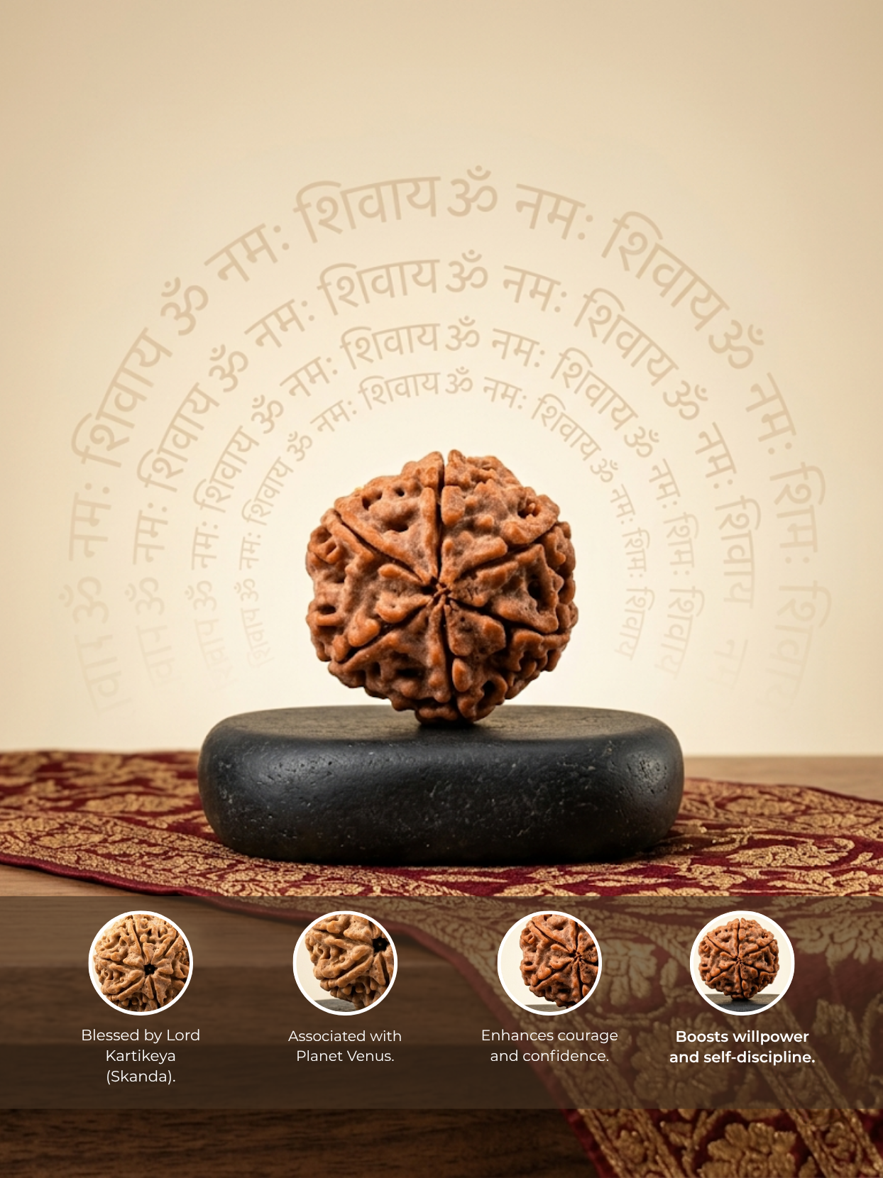 6 Mukhi Rudraksha from Nepal - Collector 22 mm - Natural Certified Bead for Kartikeya and Confidence