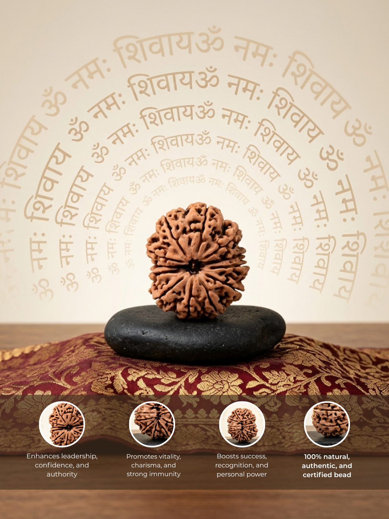12 Mukhi Rudraksha from Nepal - 30 mm - Natural Certified Bead for Surya and Leadership
