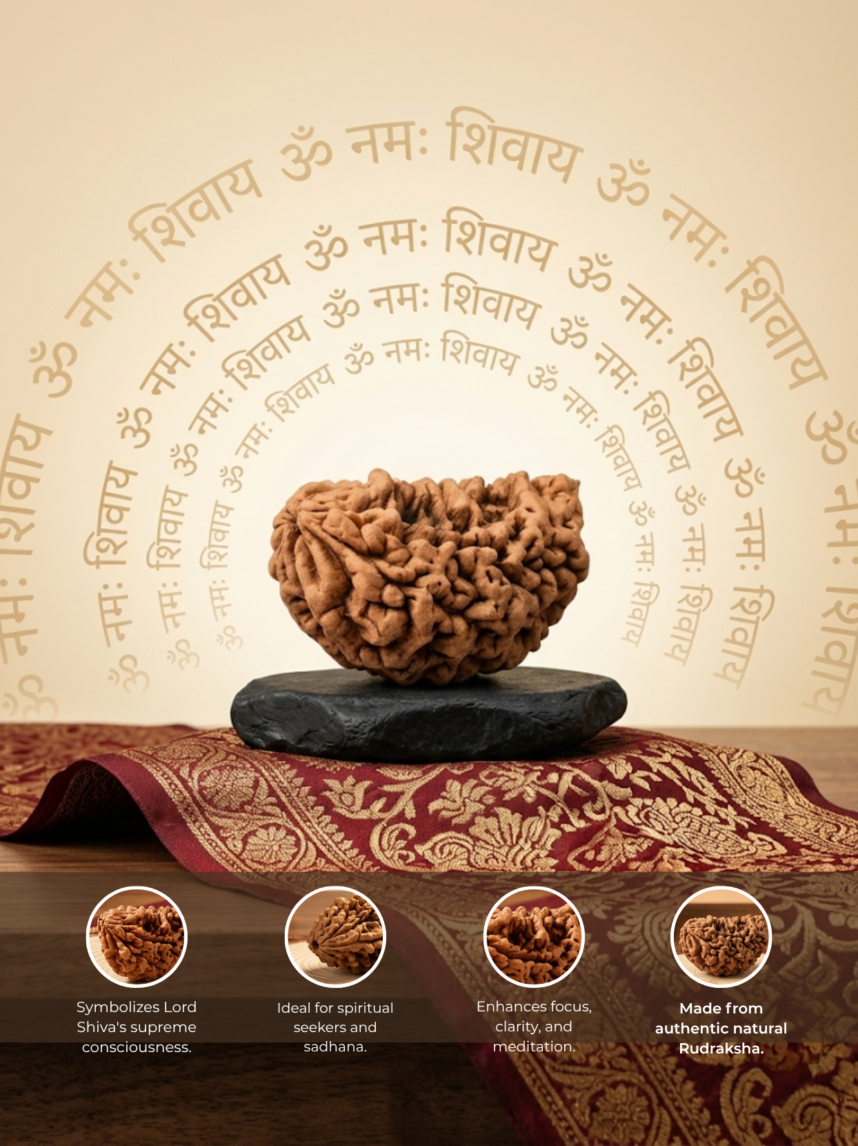 1 Mukhi Half Moon Rudraksha Bead 40 mm