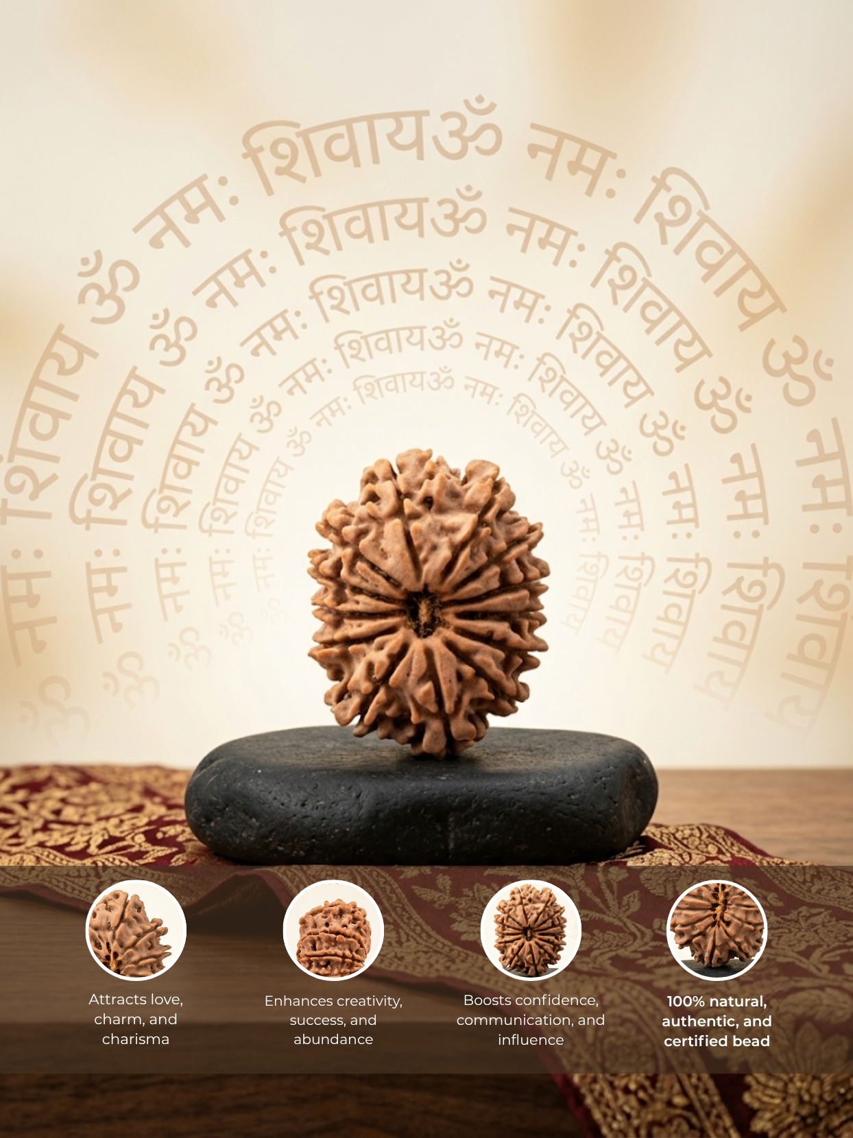 13 Mukhi Rudraksha from Nepal - 26 mm - Natural Certified Bead for Kamadeva and Desires
