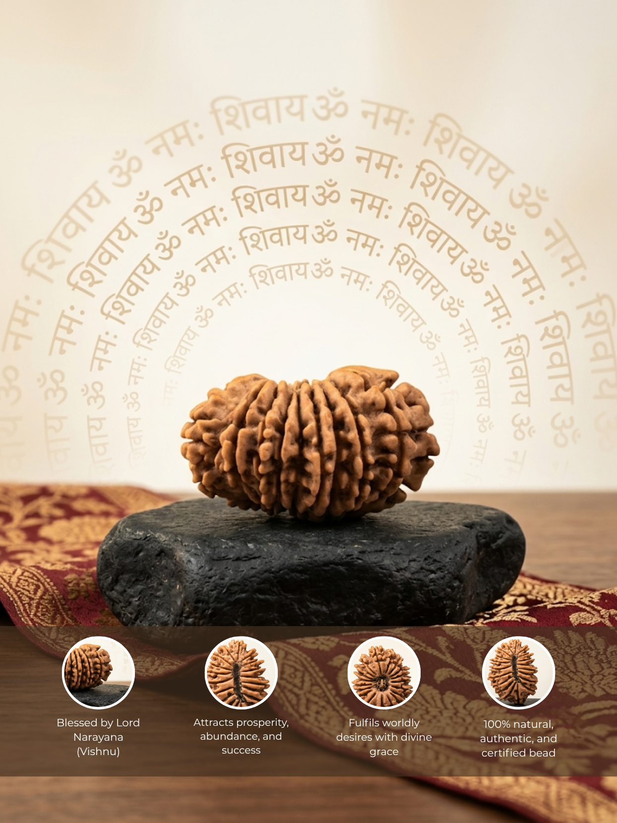 19 Mukhi Rudraksha from Nepal | 22–25 mm | Certified