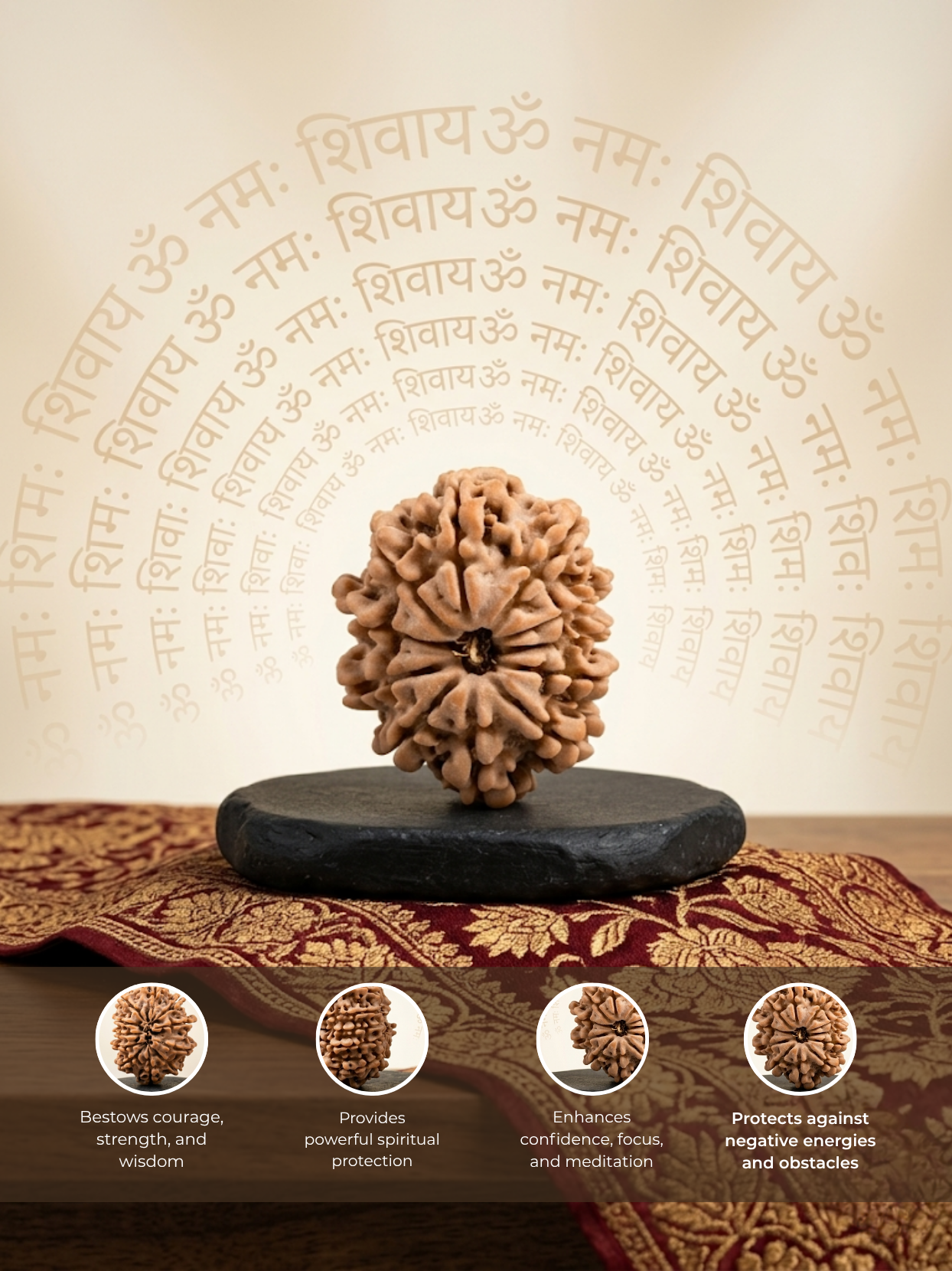 11 Mukhi Rudraksha from Nepal - 20 to 22 mm - Natural Certified Bead for Hanuman and Courage