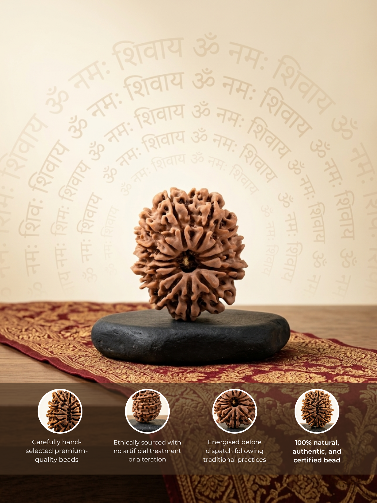 13 Mukhi Rudraksha from Nepal - 22 to 25 mm - Natural Certified Bead for Kamadeva and Desires