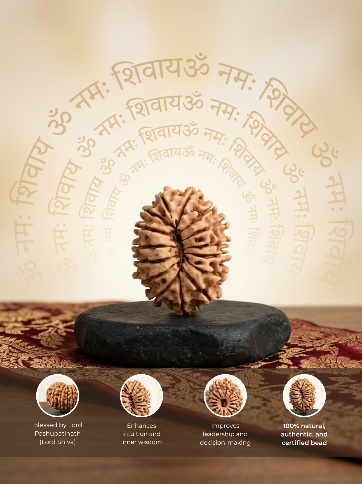 15 Mukhi Rudraksha from Nepal | 25 mm | Certified