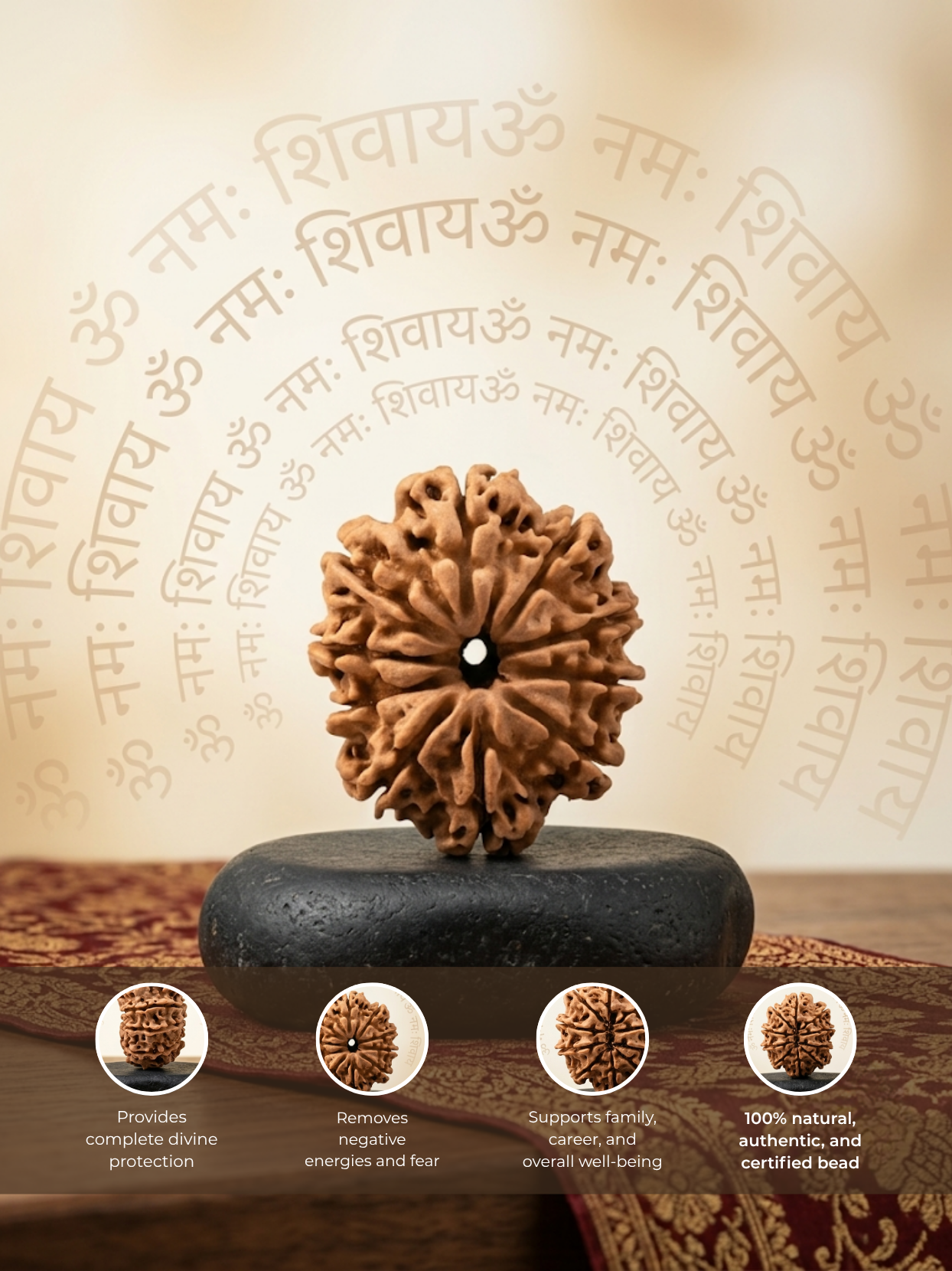 10 Mukhi Rudraksha from Nepal - 25 mm - Natural Certified Bead for Vishnu and Peace