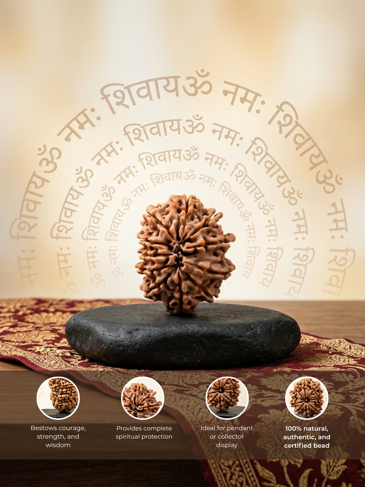 11 Mukhi Rudraksha from Nepal - 24 to 26 mm - Natural Certified Bead for Hanuman and Courage