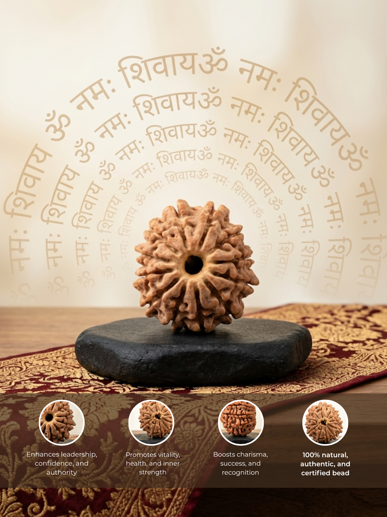 12 Mukhi Rudraksha from Nepal - 15 mm - Natural Certified Bead for Surya and Leadership