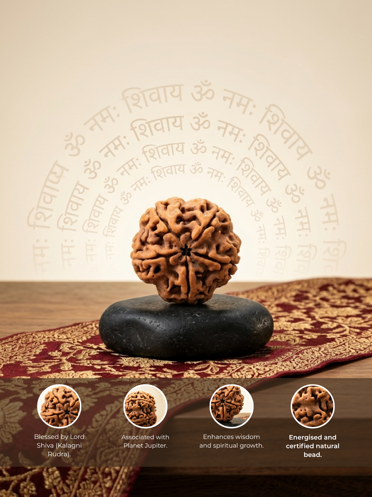 5 Mukhi Rudraksha from Nepal - Collector 25 mm - Natural Certified Bead for Shiva and Protection