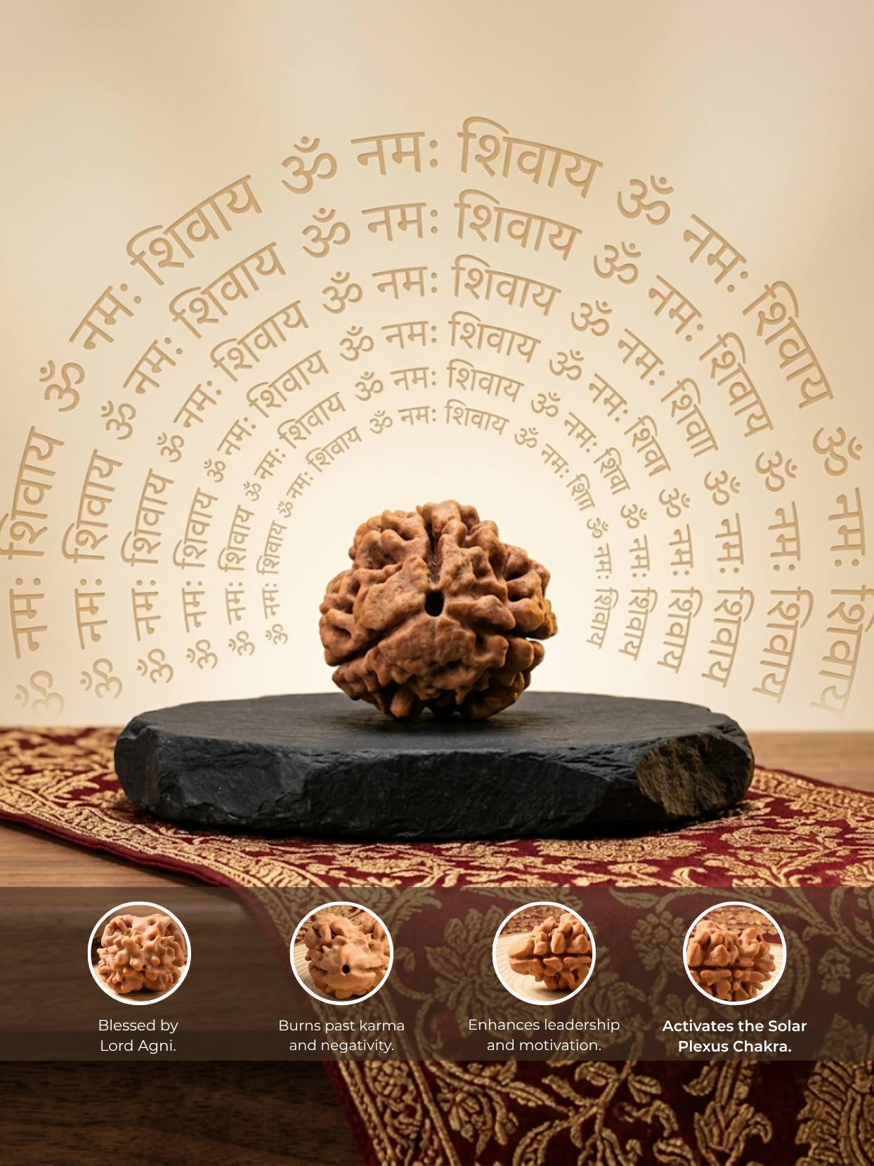 3 Mukhi Rudraksha from Nepal - 20 mm - Natural Certified Bead for Agni and Confidence