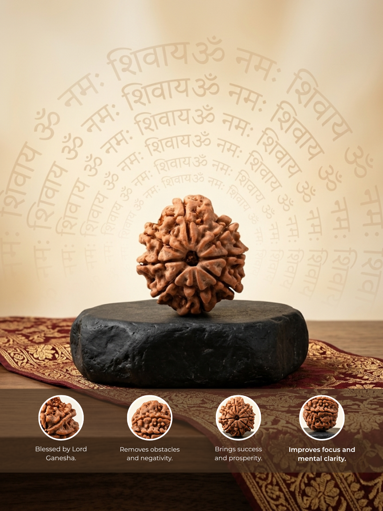 8 Mukhi Rudraksha from Nepal - 22 mm - Natural Certified Bead for Ganesha and Obstacle Removal