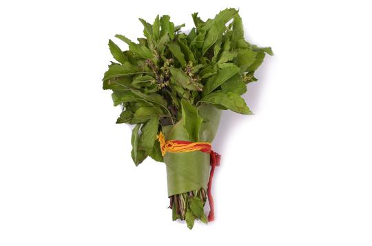 Tulsi Leaves-One Piece
