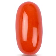 Red Italian Coral - 8.85 Carats