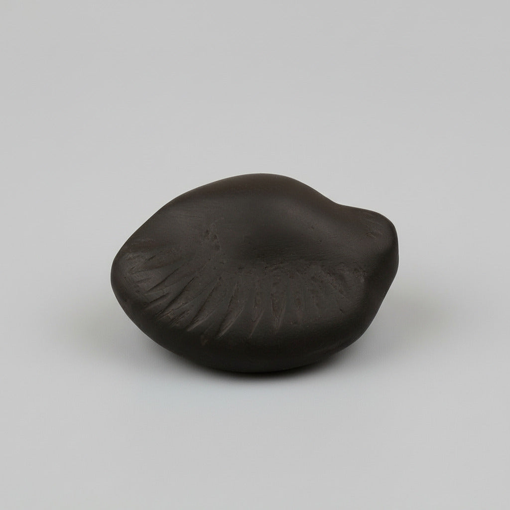 Hiranyagarbha Shaligram Shila