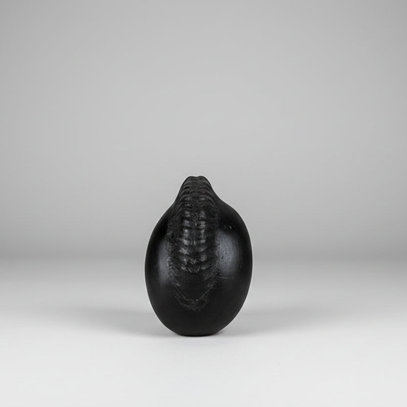 Hayagriva Ganesh Shaligram Shila