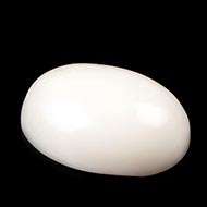 White Coral - 9.20 Carats