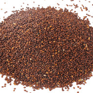 Beej Tulsi