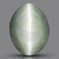 Cats Eye - Orissa - Bihar - 8.65 Carats