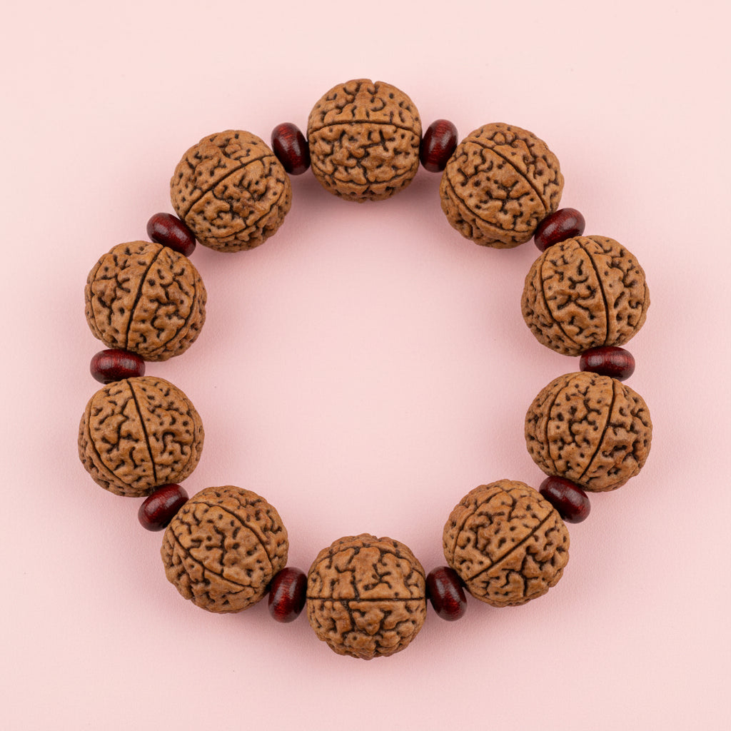 4 Mukhi Nepali Rudraksha x Red Sandalwood Bracelet-Small