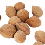Bahera Saboot
