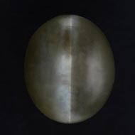 Cats Eye - Kanak Kheth - 6.62 Carats