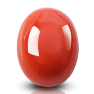 Red Italian Coral - 20.25 Carats