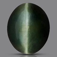 Cats Eye - Orissa - Bihar - 17.30 Carats