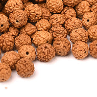 Rudraksha Loose Beads Pack (5 mm)-Regular